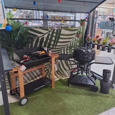 Barbecue et plancha