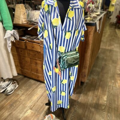 robe longue marinière bleu et blanc avec citrons