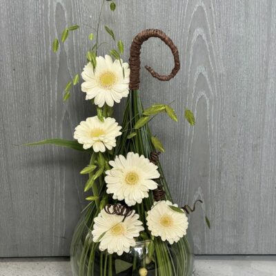 plante avec fleurs blanches dans un pot en verre