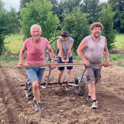 labourage manuelle des champs