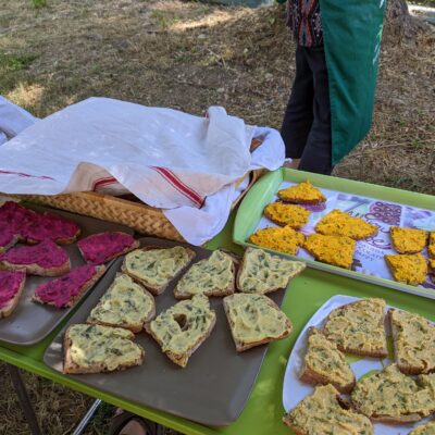 tartines de purée de légumes
