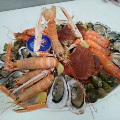 Plateau de langoustines avec huitres et légumes